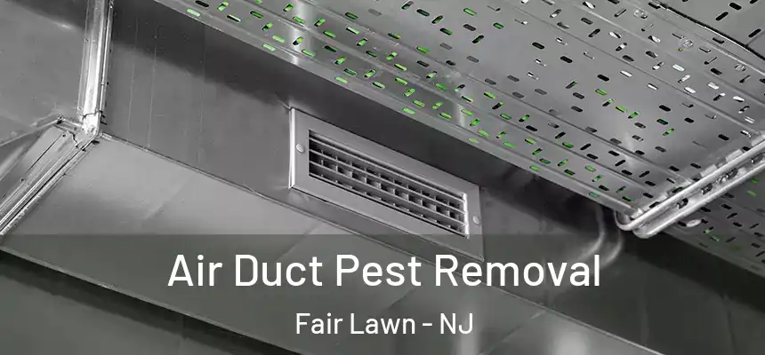  Air Duct Pest Removal Fair Lawn - NJ