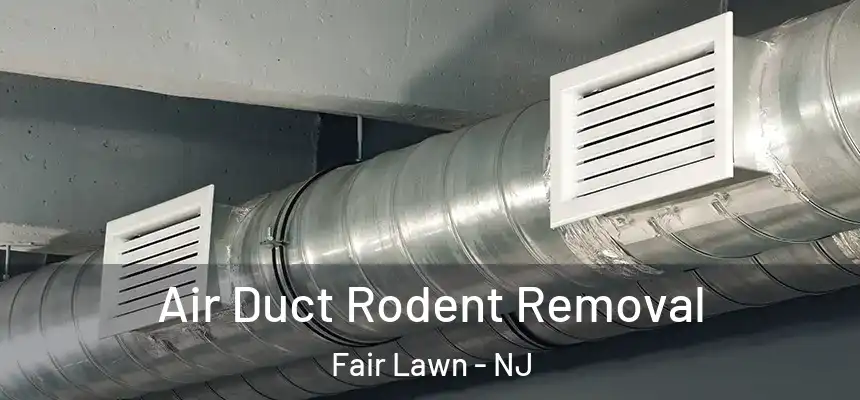 Air Duct Rodent Removal Fair Lawn - NJ