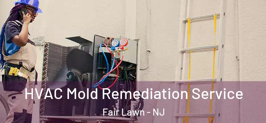 HVAC Mold Remediation Service Fair Lawn - NJ