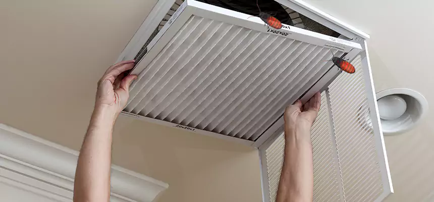 Preventive Cockroach-Proofing for Ducts in Fair Lawn