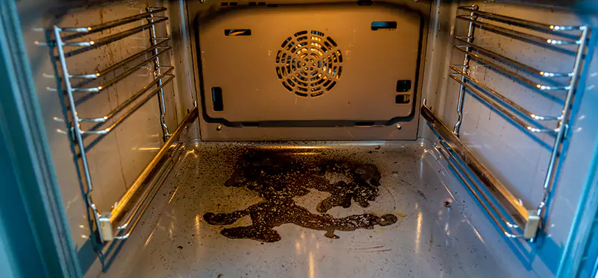 Our Dryer Vent Mold Cleaning Services in Fair Lawn, NJ