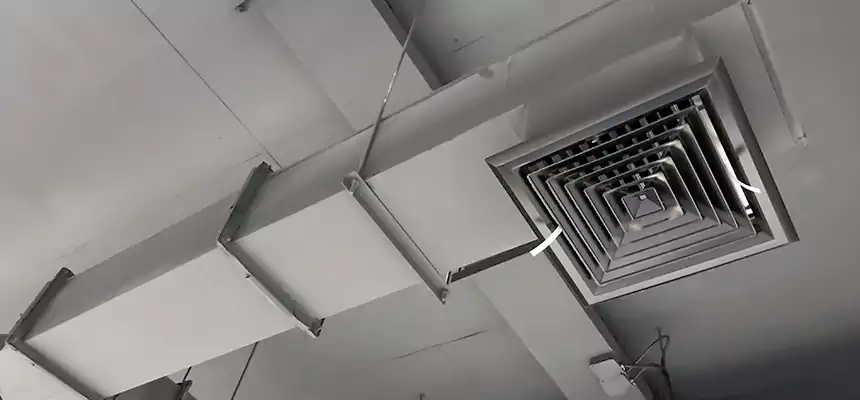 Our Rodent Droppings In Vents Services in Fair Lawn, NJ