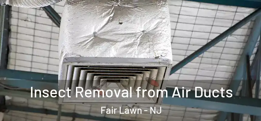  Insect Removal from Air Ducts Fair Lawn - NJ