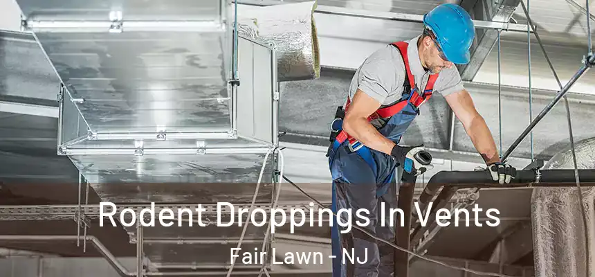 Rodent Droppings In Vents Fair Lawn - NJ