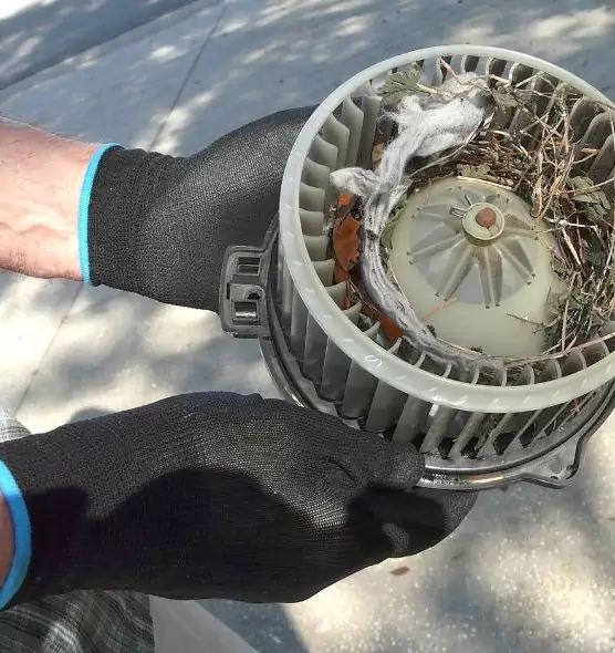 About Air Duct Rat Removal in Fair Lawn, NJ