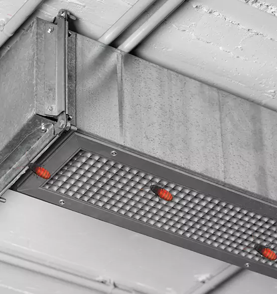 Affordable Insect Removal from Air Ducts in Fair Lawn, NJ