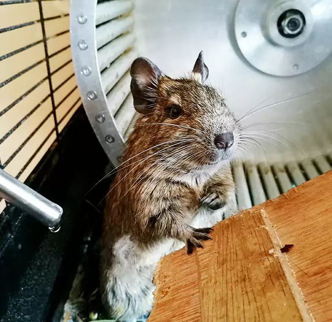 Why Homeowners & Businesses Trust Us Fair Lawn, NJ?